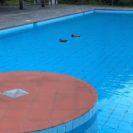 Residenza Viramonte - Casa Fiona, 52 Appartamento Gambarogno